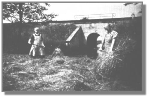 Die Schwestern Talkea (links) und Elisabeth schtten mit ihren Heuforken das noch nicht trockene Gras. Im Hintergrund erkennt der Betrachter den "Tochschlot", der unter dem Eisenbahndamm hindurch zum Esklumer Siel fliet.