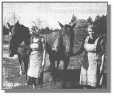 "De Wichter mutten de Peer halen". Etta und Hilda Helmers holen Bub und Fanny von der Weide.