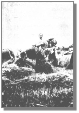 Der Mann mit Brille hatte einen Fotoapparat. Es ist Folkert Frerichs aus Glansdorf - ein Nachbar der Pruins - der hier mit dem Selbstauslser diese Aufnahme machte. Links die Tchter Gesine und Anni beim Binden, und rechts der Vater Jrgen Hinrich Pruin sowie am Rand der Bruder Johann beim Sichten des Roggens im Jahr 1941.