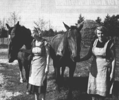 "De Wichter mutten de Peer halen". Etta und Hilda Helmers holen Bub und Fanny von der Weide.