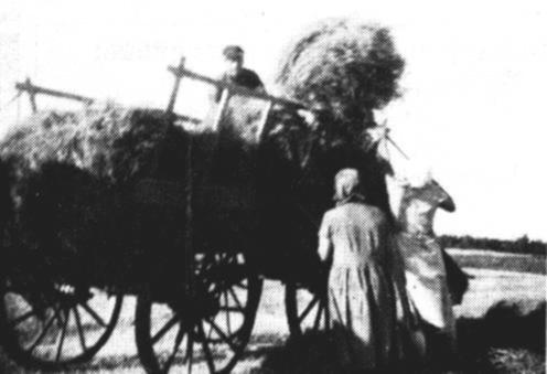 Hanni und ihre Mutter Auguste "stecken auf", whrend Vater Meinhard Meyer die Garben so auf den Leiterwagen packt, da mglichst viele draufgehen.