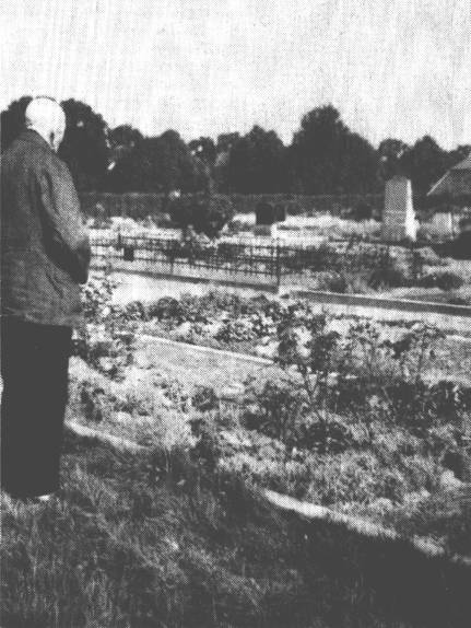 Auf dem neuen Friedhof zu Collinghorst.