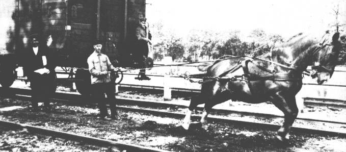 Ein Foto, wie man es nicht alle Tage sieht. Auf dem Jhrhover Bahnhof wurden die Gterwaggons mit dem Pferd zum Gterschuppen gezogen. Wilhelm ("Wiwi") Graalmann hatte sein privates Pferd an die Eisenbahn "verhrt". Es hatte seinen Stall im Schuppen gegenber dem Gterbahnhof. Das Rangieren dieser tonnenschweren Gterwaggons vom Hauptgleis auf das HoIland- oder Kleinbahngleis war fr "ein PS" sehr schwer. Wer in Physik eine eins hatte, darf einmal nachrechnen, welche Krfte notwendig sind, um eine ruhende Last in Bewegung zu setzen.