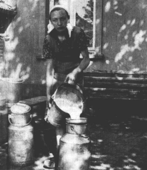 Hier wird beim Haus in Strcklingen gemolken. Anni giet die Milch durch ein Metallsieb, in dem ein Papierfilter liegt.