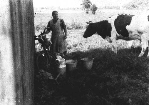 Mit dem Melkrad auf die Weide. ber der Milchkanne liegt das Seihtuch. Gleich nimmt Auguste einen Eimer. Stripp, strapp, strull, is de Emmer noch nich vull?