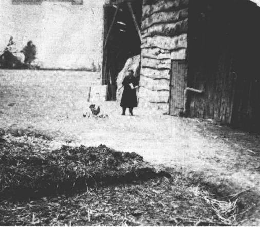 Der Holzschuppen steht heute noch genauso in Osterhrn bei Rhaude, nur den Misthaufen gibt es nicht mehr. Und eine Glucke mit Kken, das ist und bleibt ein Hobby fr Heinrich Schmidt, auch wenn hier Tante Reenstine die "Ttties" fttert.