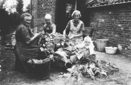 Zinkwanne, Einkochtopf und Emailleschssel sowie ein geflochtener Weidenkorb waren die unentbehrlichen Hilfsmittel fr Margarete Poelmann aus Growolderfeld und ihre Tochter Angela sowie zwei Enkelkinder. Plastik gab es 1935 noch nicht...