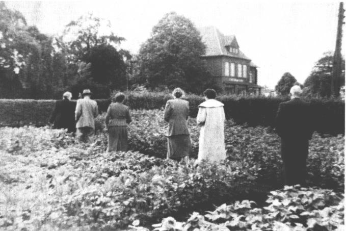 Wenn am Sonntagnachmittag Besuch kam, so wurde er in den Garten gefhrt. Hier gab es Gesprchsstoff fr Stunden! Der Plmersche Garten, im Hintergrund das abgerissene Kaufhaus Hagius und Sohn.