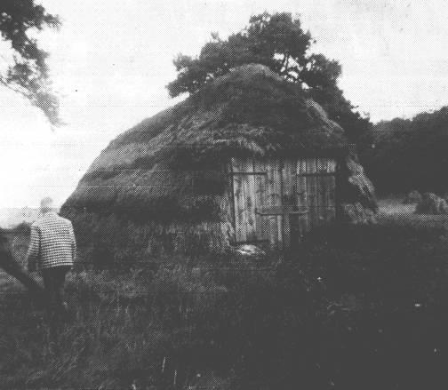 Pullenhtte von Oll Willm. "Pullen" sind groflchige Grassoden, mit denen ein Holzgerst beschichtet wurde.