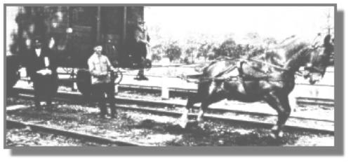 Ein Foto, wie man es nicht alle Tage sieht. Auf dem Jhrhover Bahnhof wurden die Gterwaggons mit dem Pferd zum Gterschuppen gezogen. Wilhelm ("Wiwi") Graalmann hatte sein privates Pferd an die Eisenbahn "verhrt". Es hatte seinen Stall im Schuppen gegenber dem Gterbahnhof. Das Rangieren dieser tonnenschweren Gterwaggons vom Hauptgleis auf das HoIland- oder Kleinbahngleis war fr "ein PS" sehr schwer. Wer in Physik eine eins hatte, darf einmal nachrechnen, welche Krfte notwendig sind, um eine ruhende Last in Bewegung zu setzen.