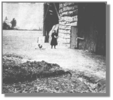 Der Holzschuppen steht heute noch genauso in Osterhrn bei Rhaude, nur den Misthaufen gibt es nicht mehr. Und eine Glucke mit Kken, das ist und bleibt ein Hobby fr Heinrich Schmidt, auch wenn hier Tante Reenstine die "Ttties" fttert.