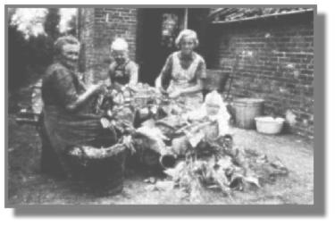 Zinkwanne, Einkochtopf und Emailleschssel sowie ein geflochtener Weidenkorb waren die unentbehrlichen Hilfsmittel fr Margarete Poelmann aus Growolderfeld und ihre Tochter Angela sowie zwei Enkelkinder. Plastik gab es 1935 noch nicht...