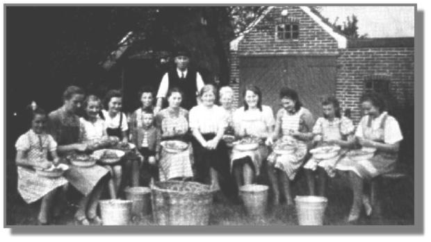 Bei so vielen fleiigen Hnden macht das Bohnen-"strpen" sogar Spa. Vor Lambertus Reents aus Ostrhauderfehn sitzen 1938 von links: Kthe Rogge, Elfriede Noormann, Therese Rogge, Therese Beckmann, Rena Ewen mit Sohn Wilfried, Frau Lehrer Ojemann, Gesine Reents, Hedwig Buss, Herta Mhlmann, Anneliese Grter, Marga Trey und Agnes Pfeiffer.