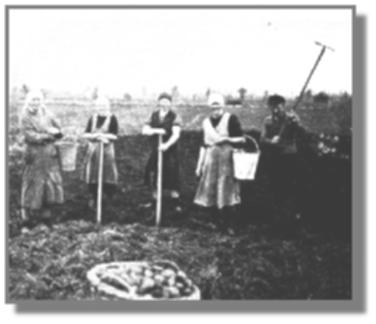 Trotz schwerer Arbeit frhliche Gesichter: Johanne Bu, Johanne Kramer, Kte Taute, Therese Bu und Hans Sanders aus Holterfehn haben in Handarbeit schon manchen Korb und manchen Eimer gefllt.