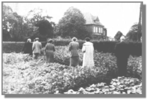 Wenn am Sonntagnachmittag Besuch kam, so wurde er in den Garten gefhrt. Hier gab es Gesprchsstoff fr Stunden! Der Plmersche Garten, im Hintergrund das abgerissene Kaufhaus Hagius und Sohn.